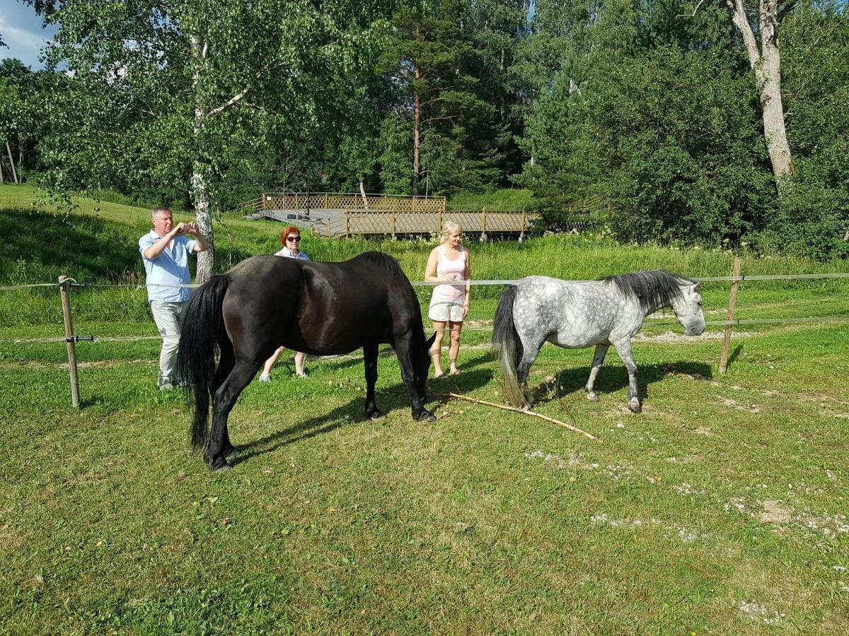 ホテル Soomaa Water Camp Jõesuu エクステリア 写真